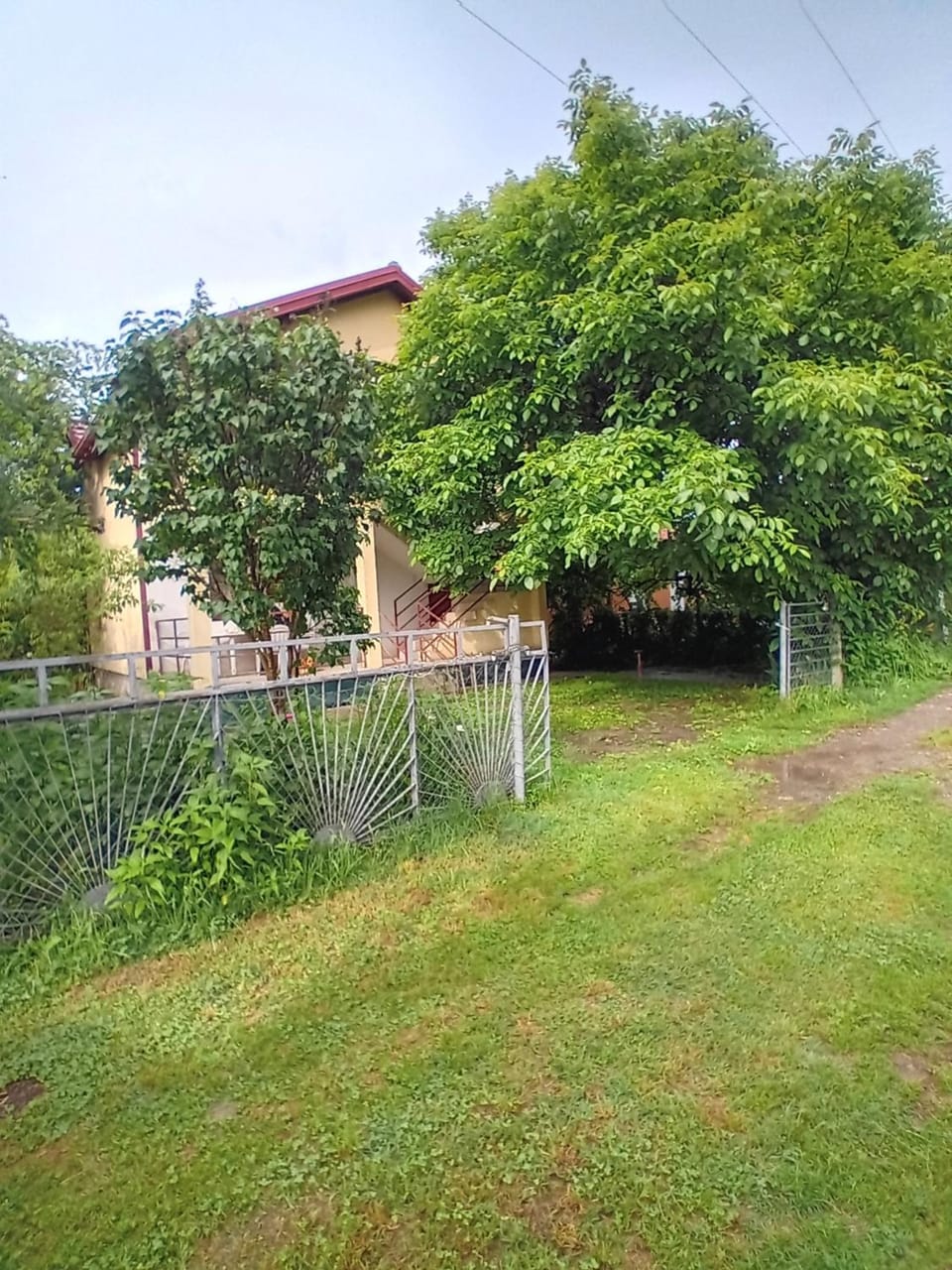 Property building, Spring, Day, Garden, Garden view