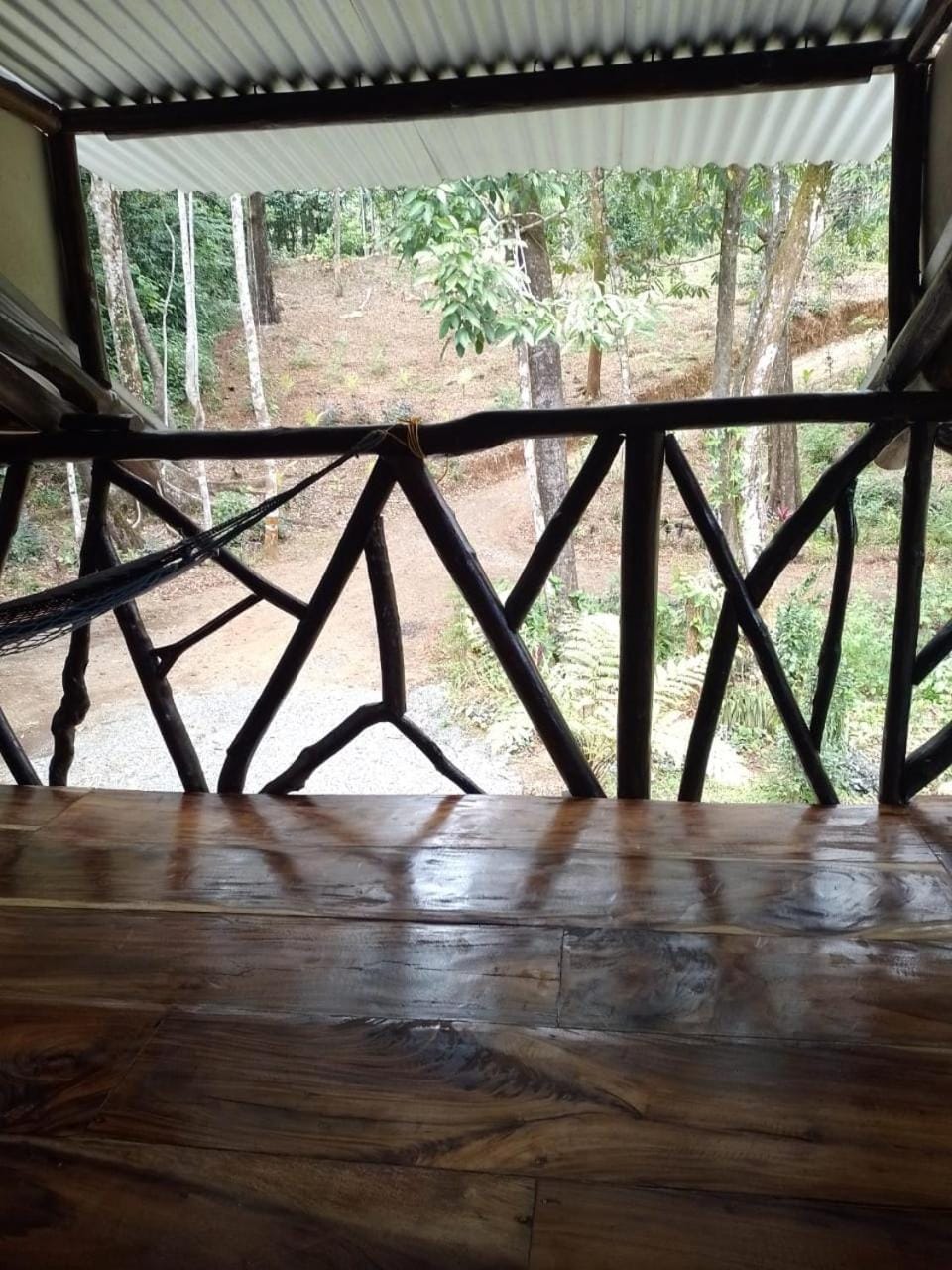 View (from property/room), Balcony/Terrace
