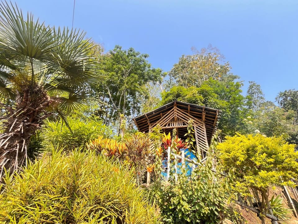 Live in Nature Country House in West Bengal