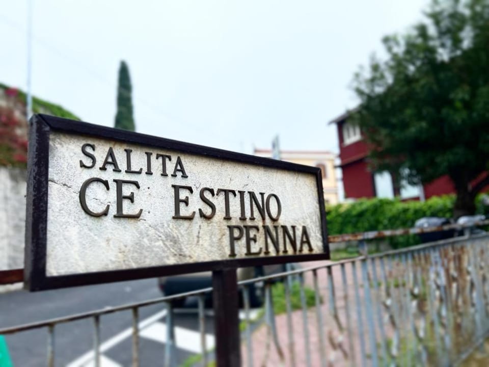 Day, Property logo or sign, Street view