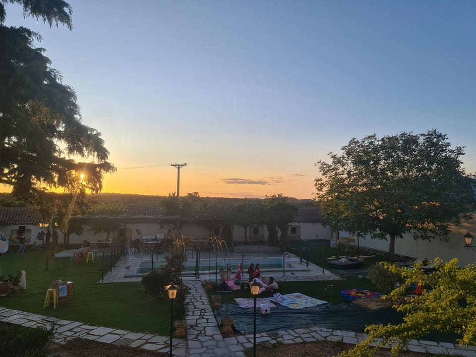 Garden, Garden view, Sunset