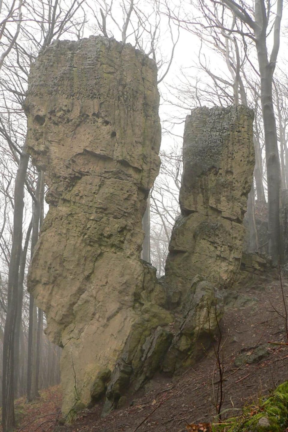 Staff, Hiking, Hiking, Area and facilities