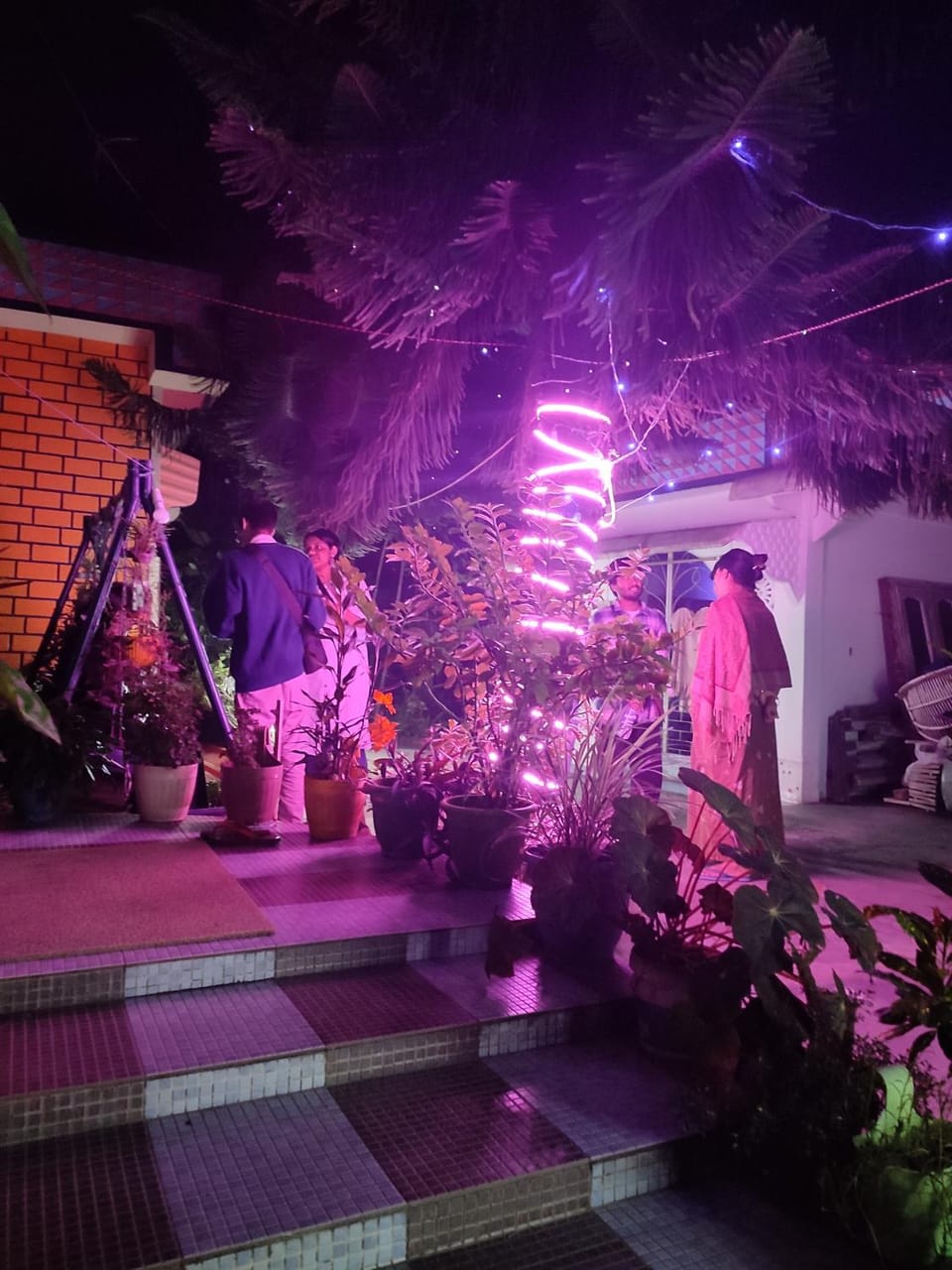 Night, Garden view, group of guests