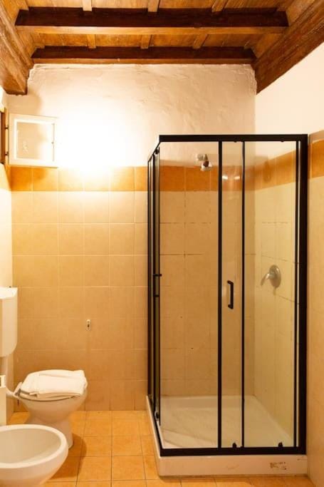 Sweet Apartment Near Piazza Pitti Apartment in Florence