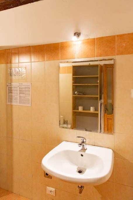 Sweet Apartment Near Piazza Pitti Apartment in Florence