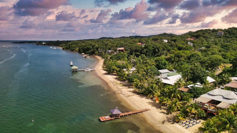 Bird's eye view, Beach, Sea view