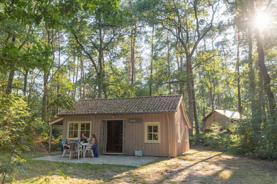 Natural landscape, Garden, Garden view, group of guests