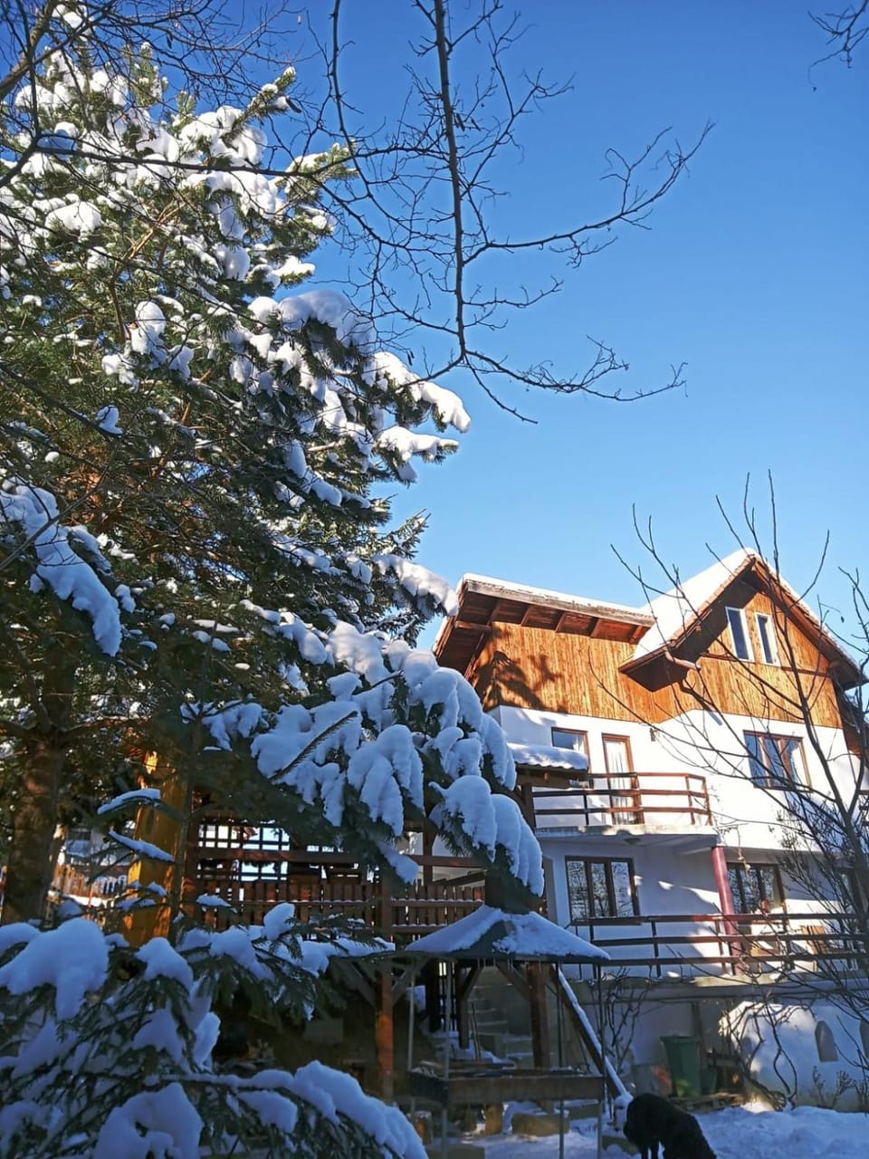 Maison Bramber- a Home for those who seek it. House in Bran