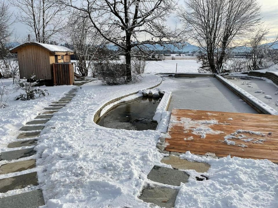 Winter, Sauna, Swimming pool