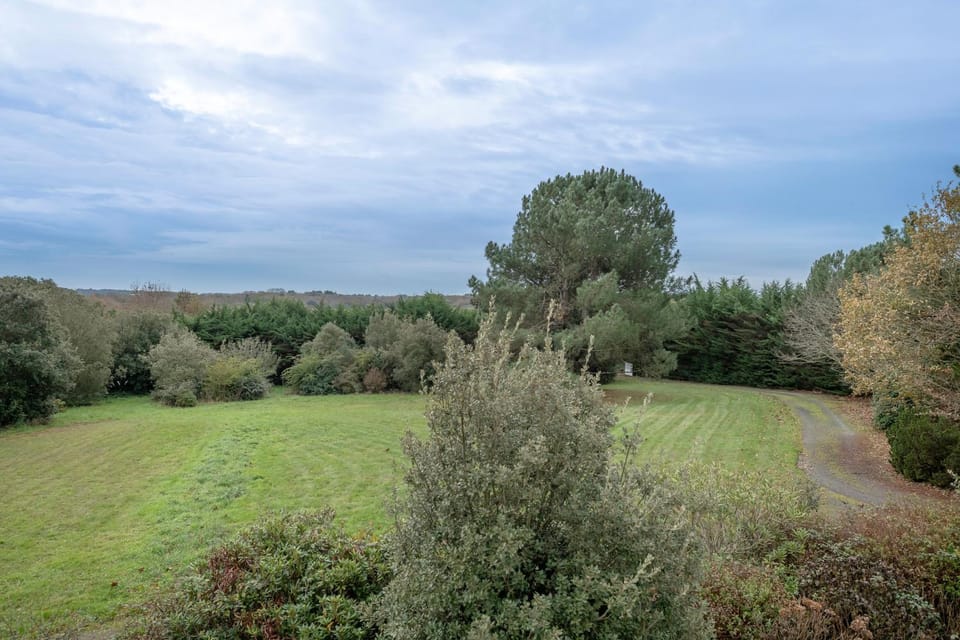 Patio, Garden, Garden view