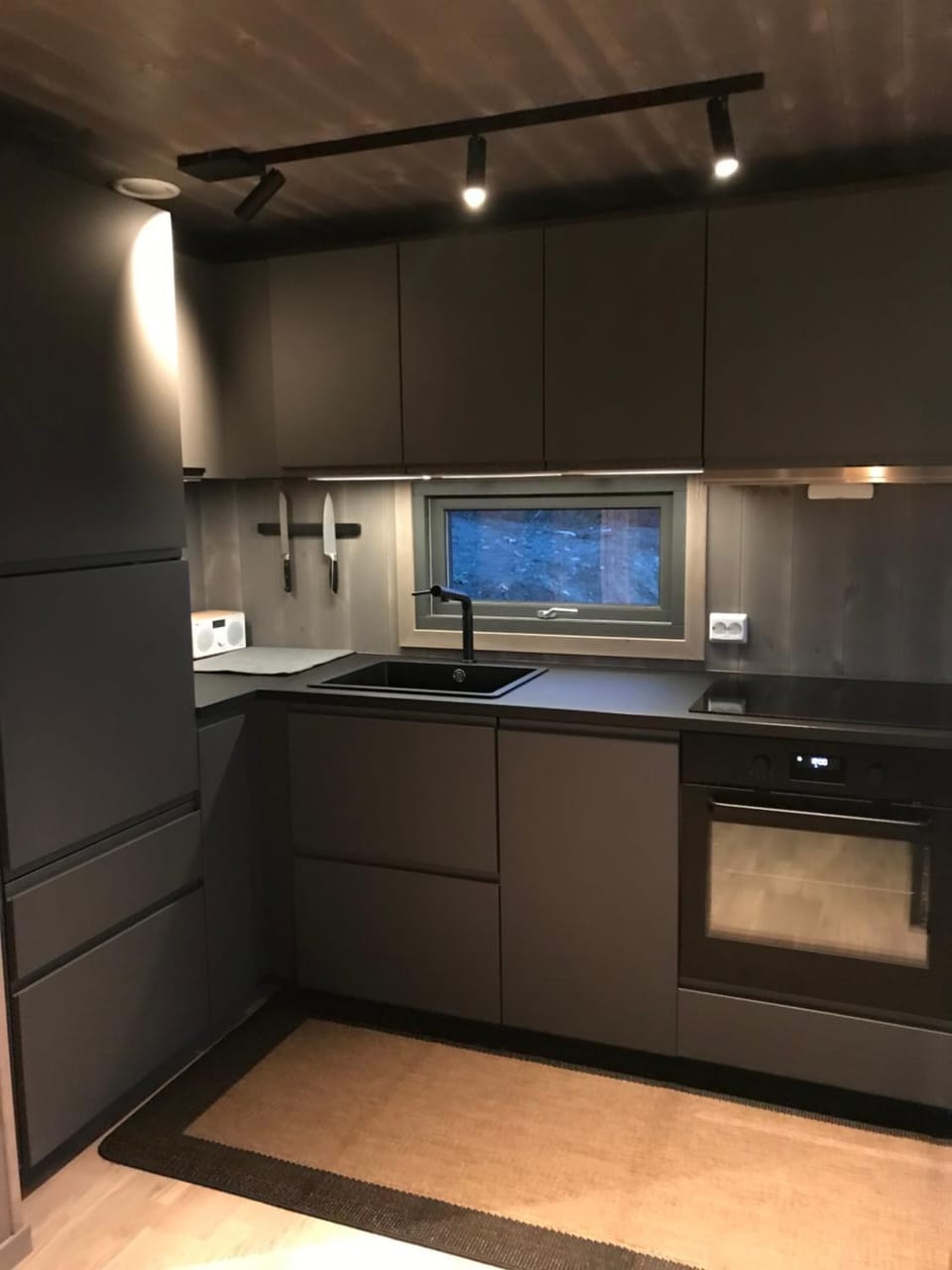 Winter, Kitchen or kitchenette, dishwasher, pet friendly, stove