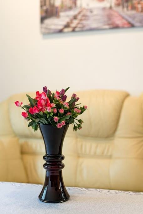 Big Cosy RETRO Apt, FREE PARKING, 15min OldTown & Kazimierz - by Homelike Krakow Apartment in Krakow
