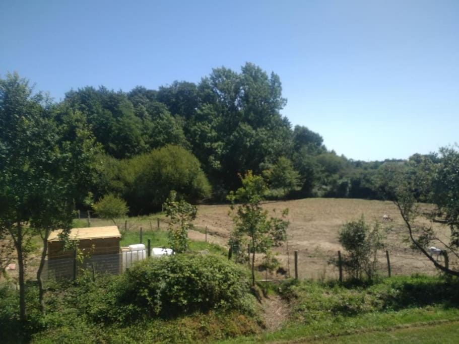 Gite les Farfadets - 12 personnes maxi House in Pays de la Loire