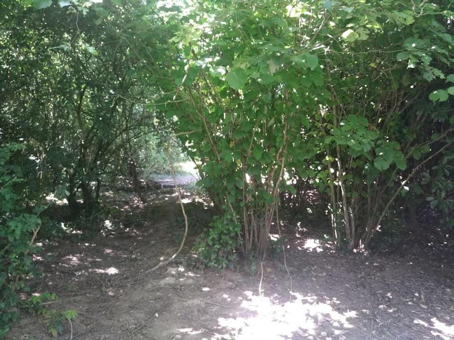 Gite les Farfadets - 12 personnes maxi House in Pays de la Loire
