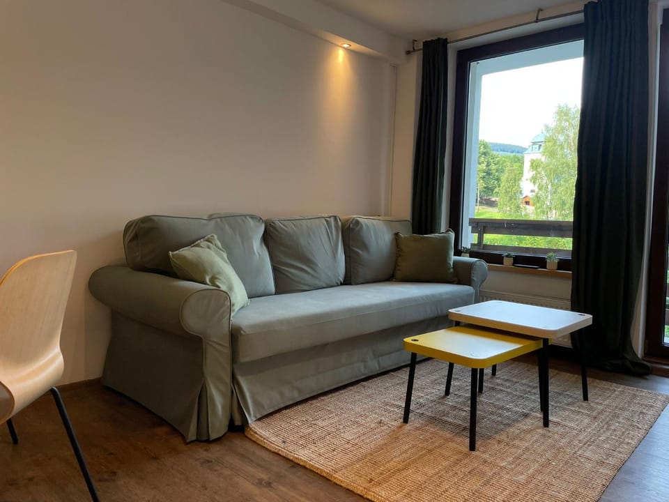 Communal lounge/ TV room, Living room, Seating area