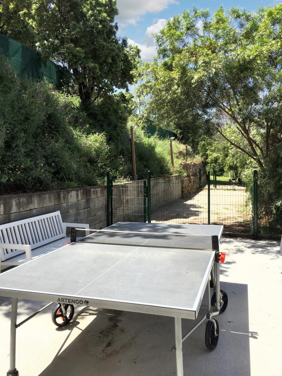 Table tennis