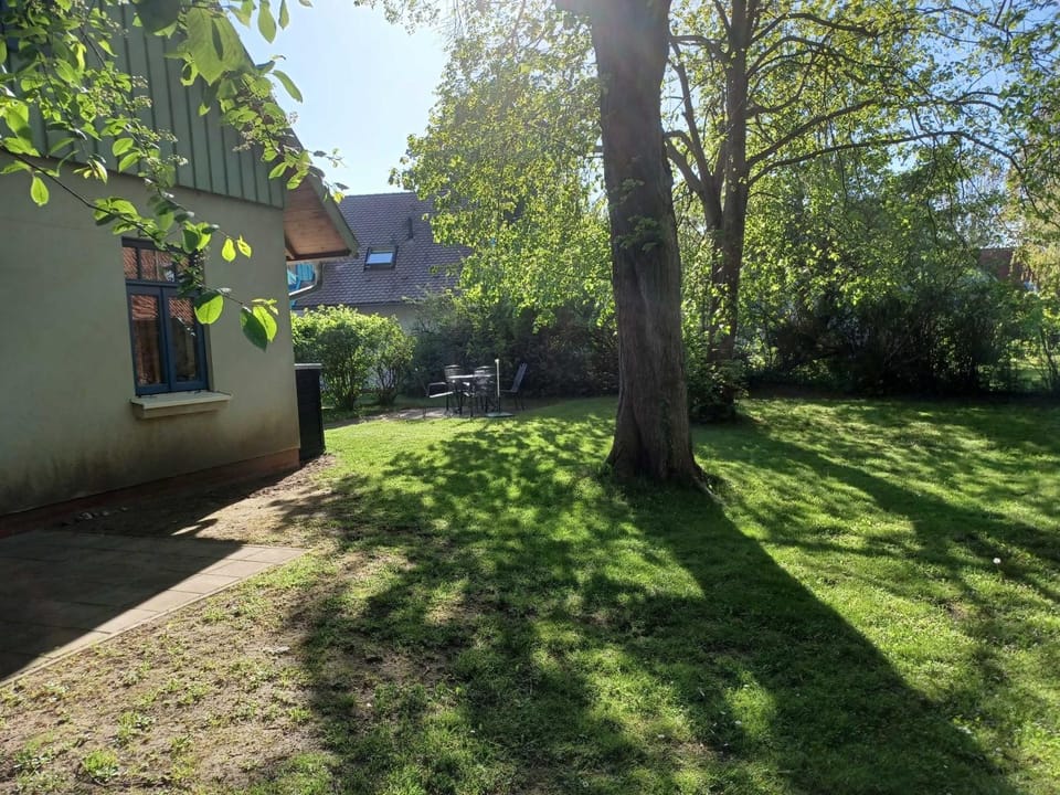 Property building, Garden view