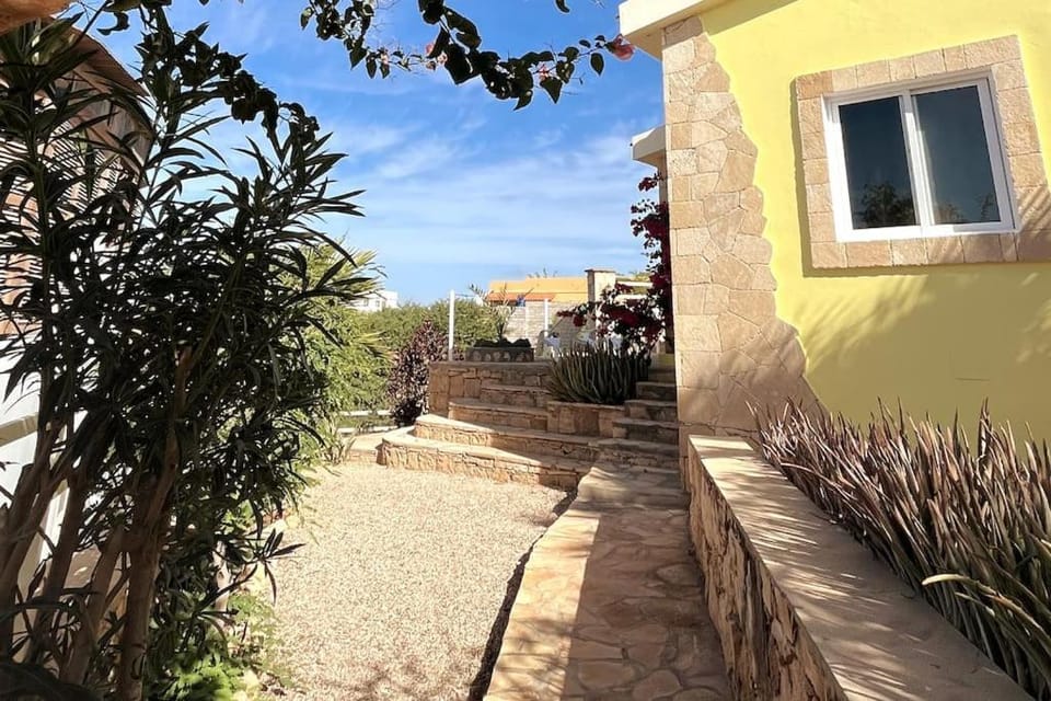 Garden, Garden view