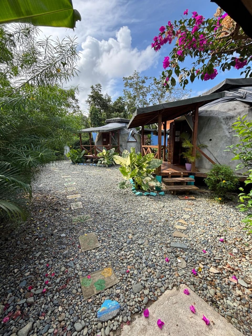 Garden view