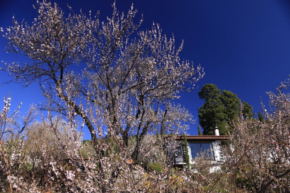Property building, Natural landscape, Garden