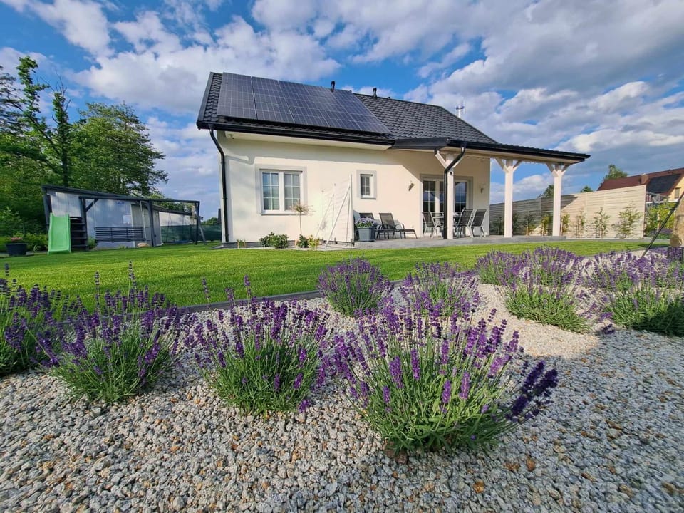 Property building, Natural landscape, Garden