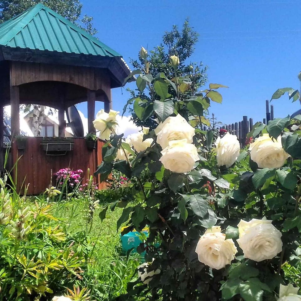 Apartman Jakša Apartment in Montenegro