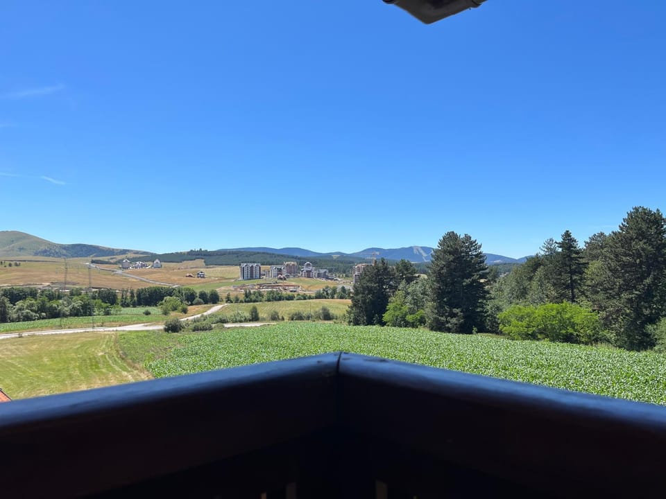 View (from property/room), Balcony/Terrace, Living room