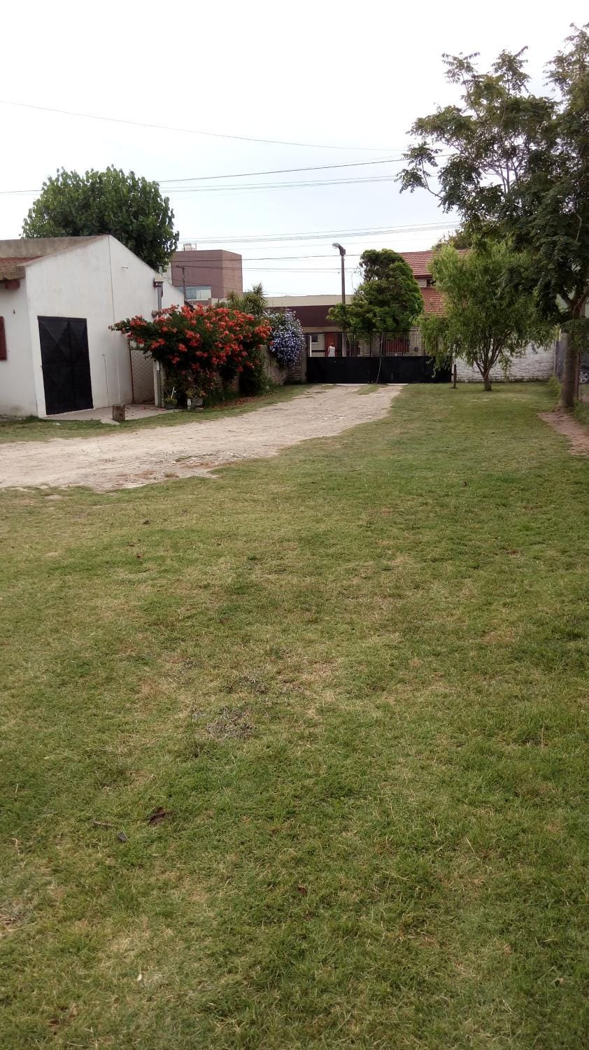 Patio, Garden