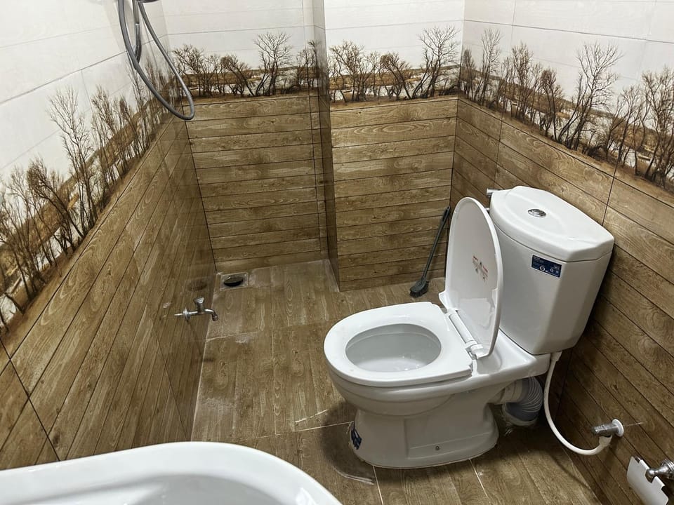 Shower, Toilet, Bathroom, bidet