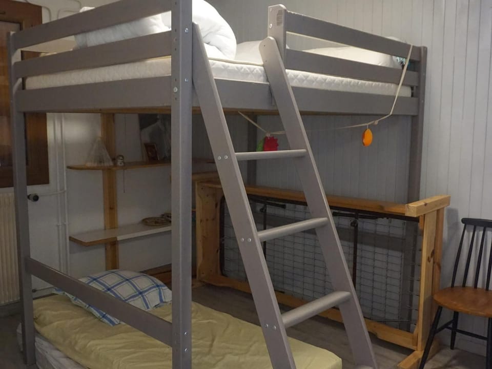 T3 60m² 6/7 pers à 50m des pistes, animaux acceptés, linge inclus hiver Apartment in Provence-Alpes-Côte d'Azur