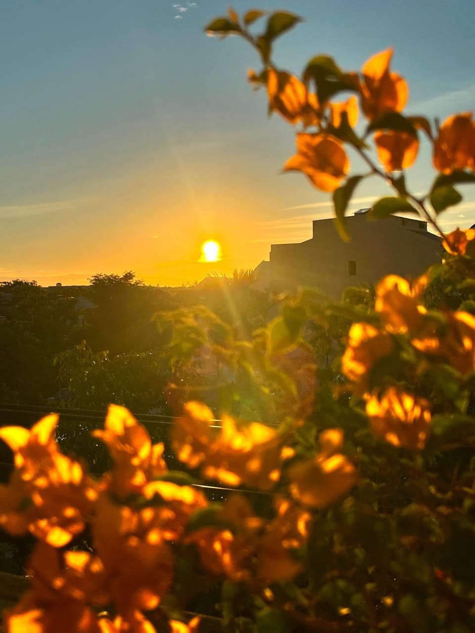 Natural landscape, Sunrise