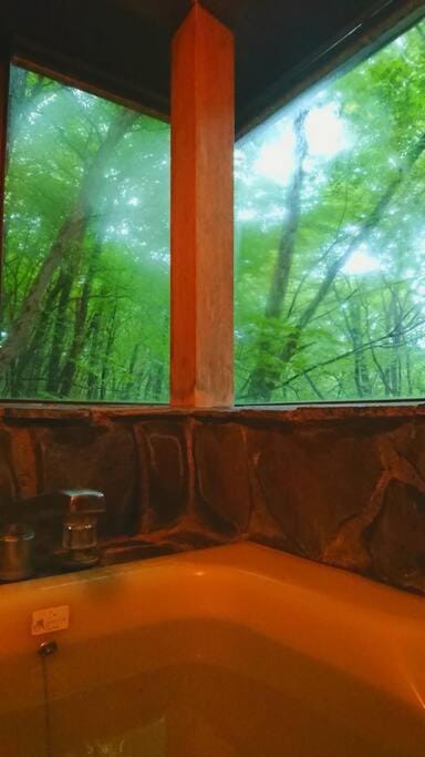 Bathroom, Bath