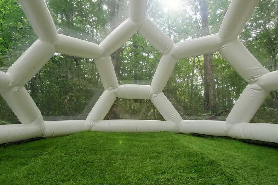 Natural landscape, Garden, Entertainment