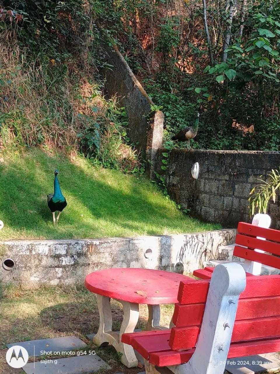 VIP GARDEN RESORT Villa in Varkala