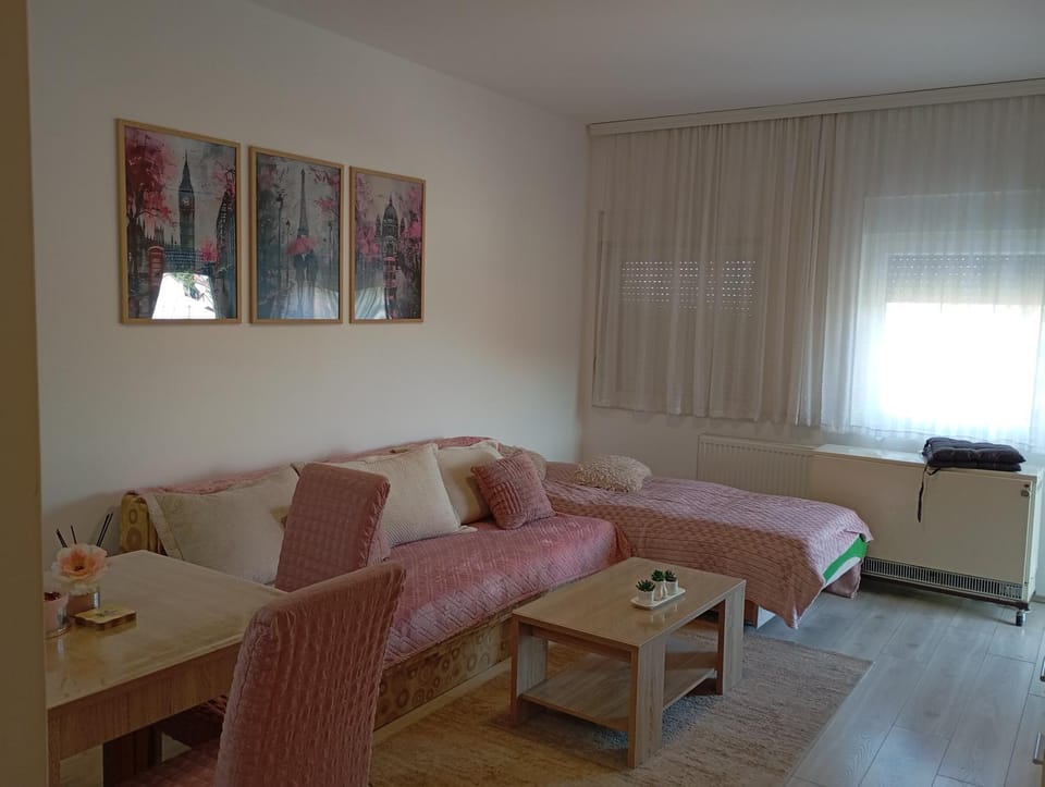 Apartman Lenka Apartment in Vojvodina