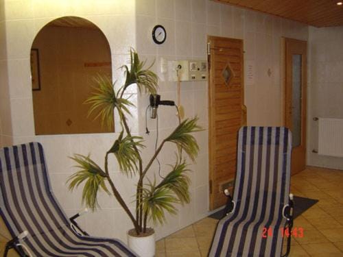 Gaststätte & Pension Alte Mühle Bed and Breakfast in Erzgebirgskreis