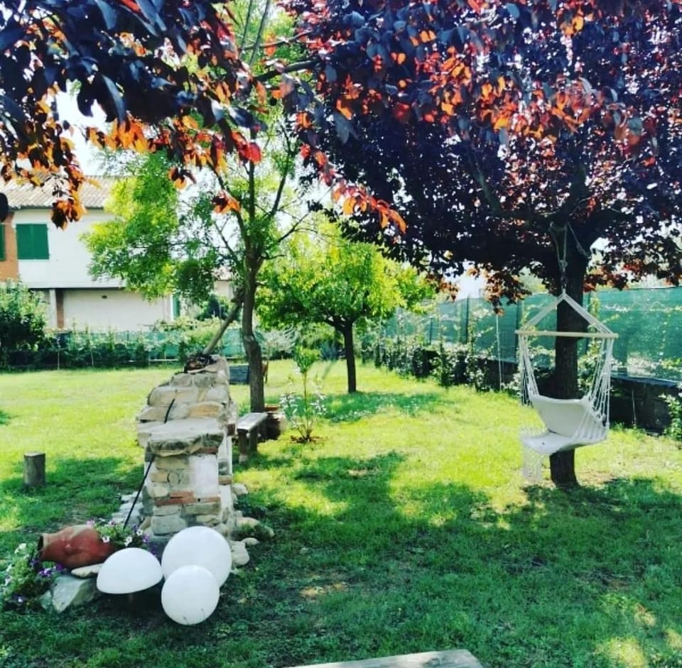 Spring, Garden, Garden view