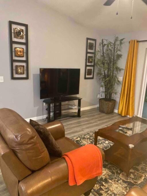 Living room, Seating area, Evening entertainment