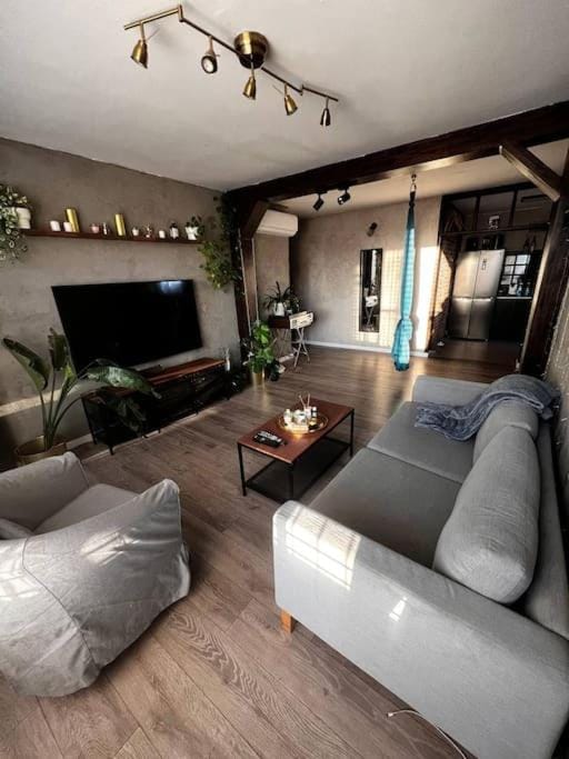דירת אדריכל מדהימה Apartment in South District