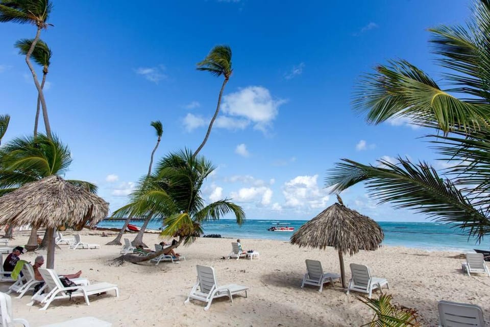 Day, Activities, Activities, Beach, Sea view, sunbed