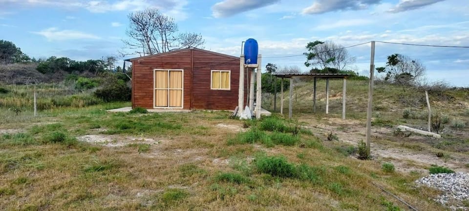 Property building, Spring