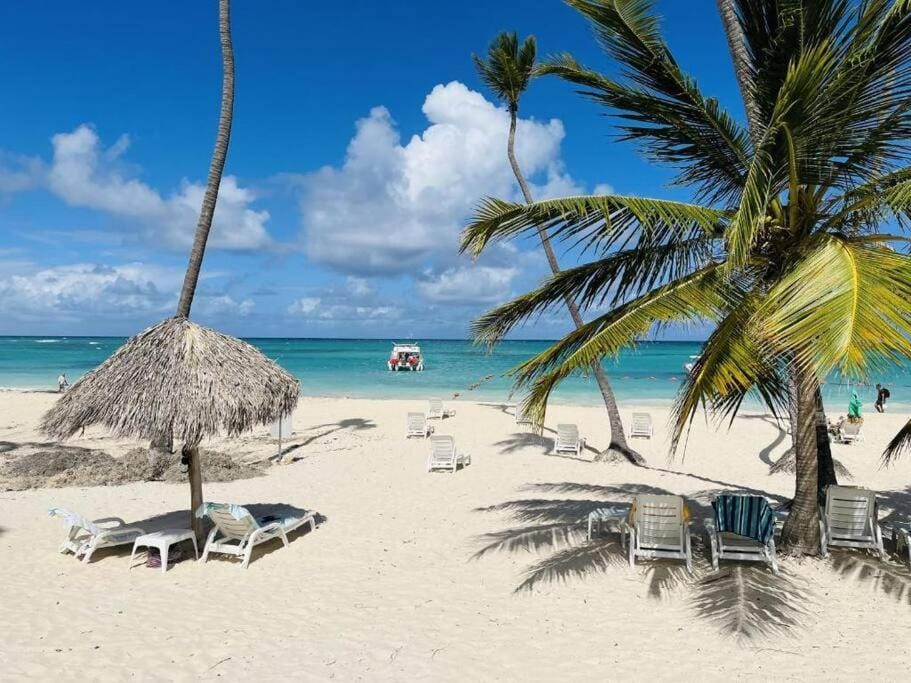 Day, Activities, Activities, Beach, Sea view, sunbed