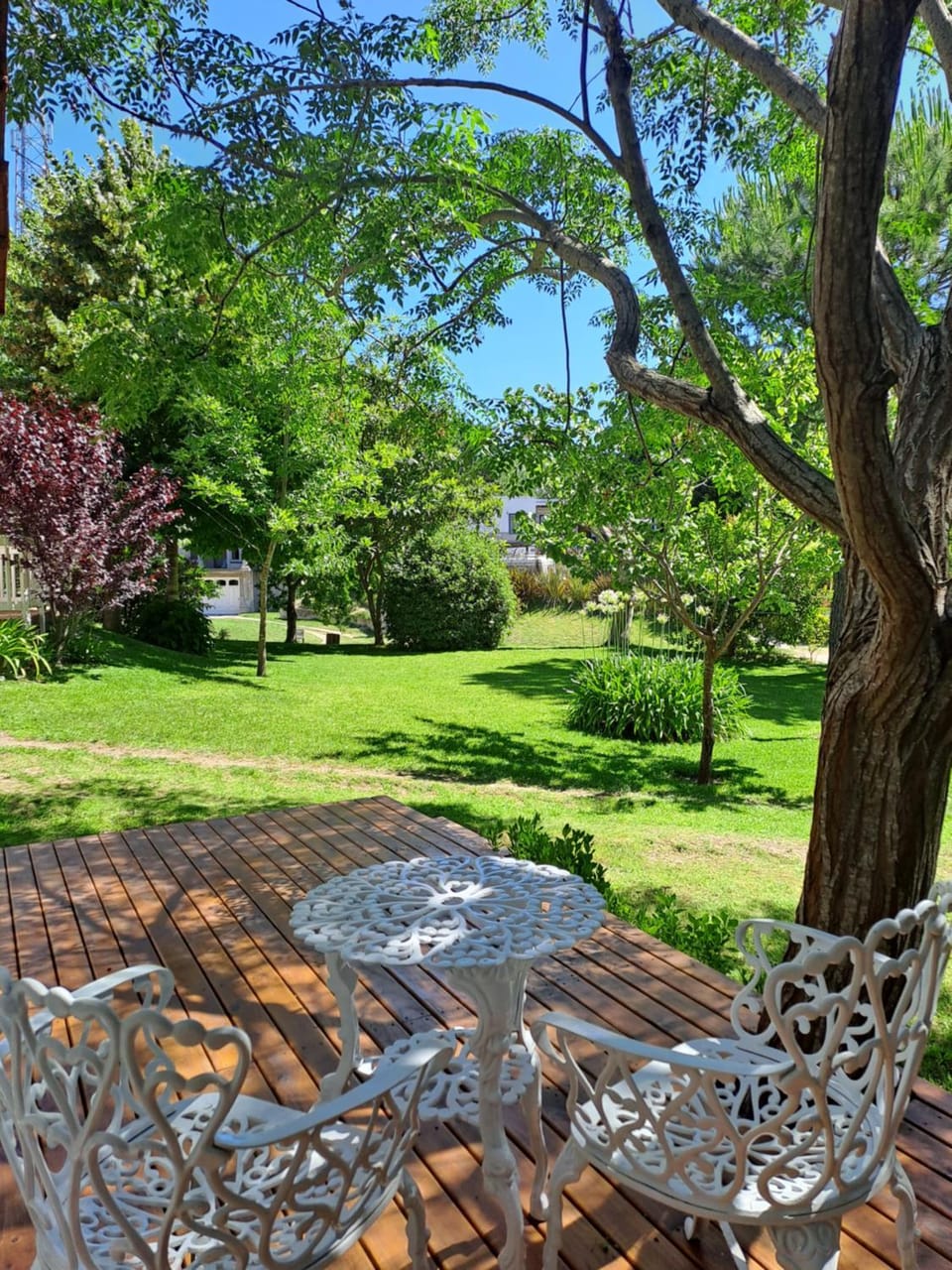 Natural landscape, Garden