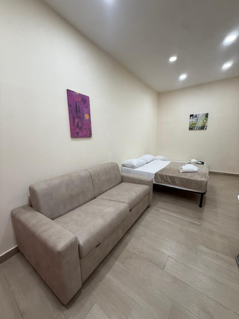 Bed, Living room, Photo of the whole room, Seating area, Bedroom