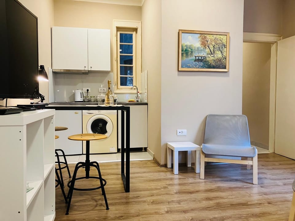Salon Studio Savamala Apartment in Belgrade