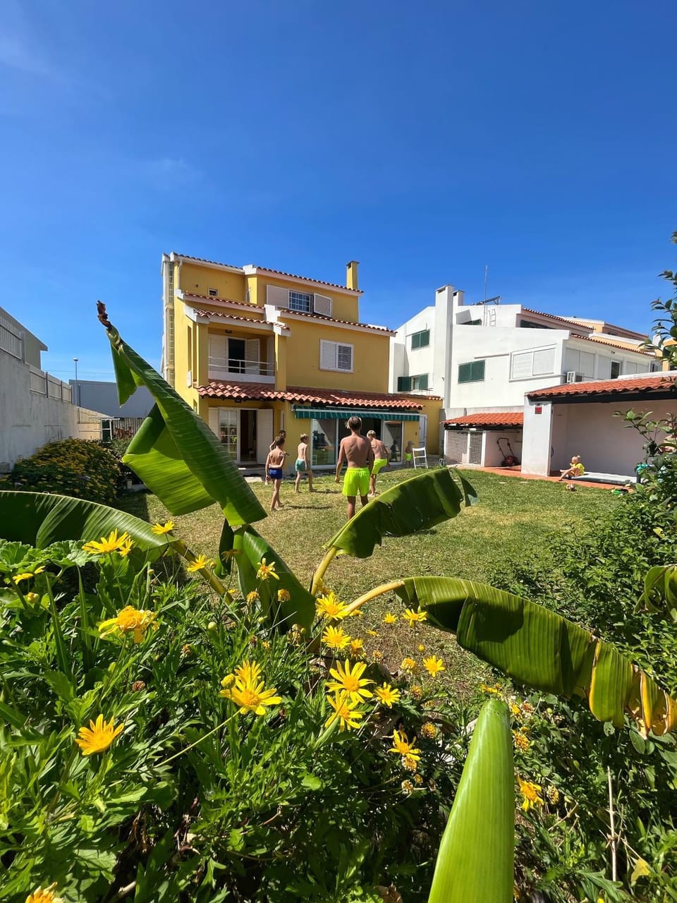Property building, Day, Garden, Garden view