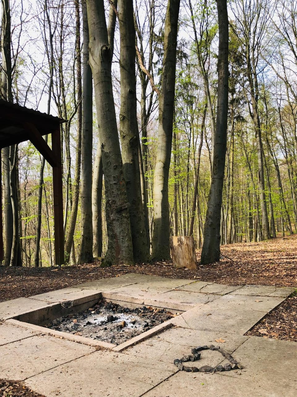 Schwedischer Shelter unter Buchen Campground/ 
RV Resort in Thuringia, Germany