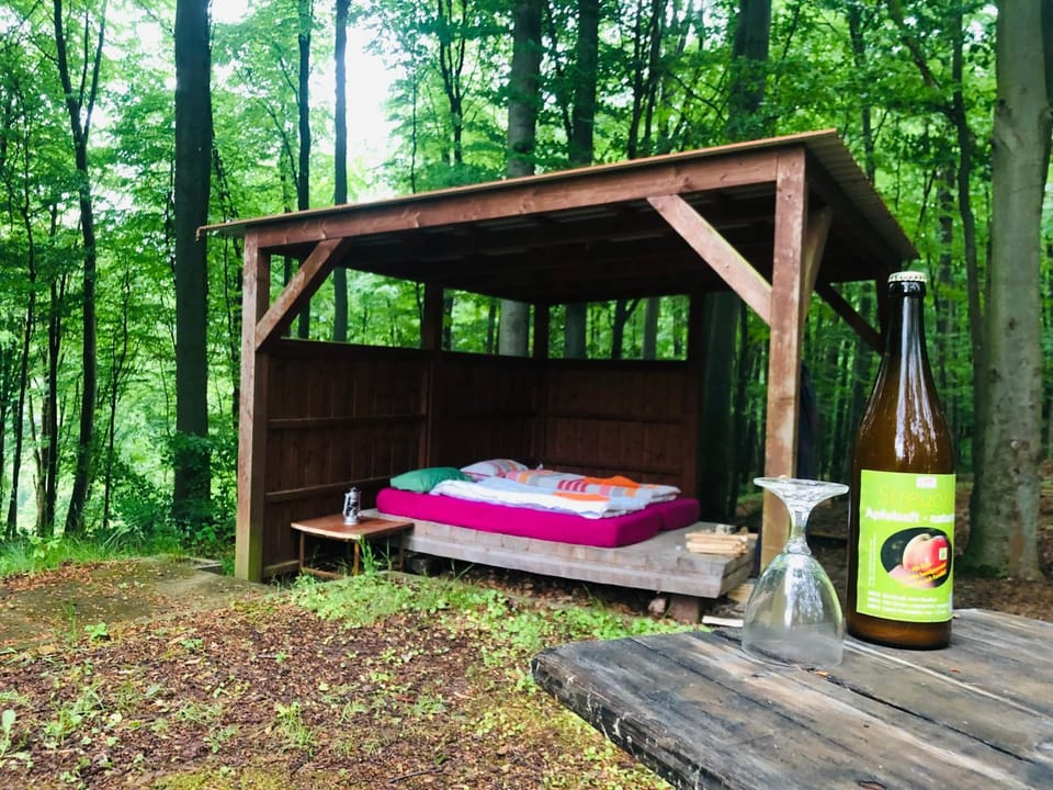 Schwedischer Shelter unter Buchen Campground/ 
RV Resort in Thuringia, Germany