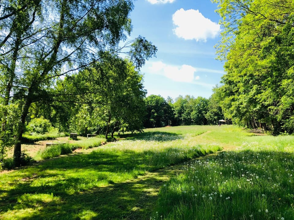 Garden, Balcony/Terrace