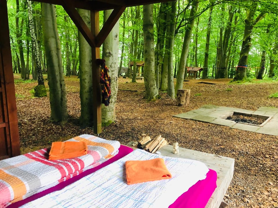 Schwedischer Shelter unter Buchen Campground/ 
RV Resort in Thuringia, Germany